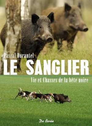 Le sanglier