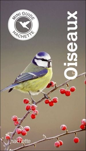 Oiseaux