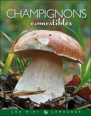 Champignons comestibles