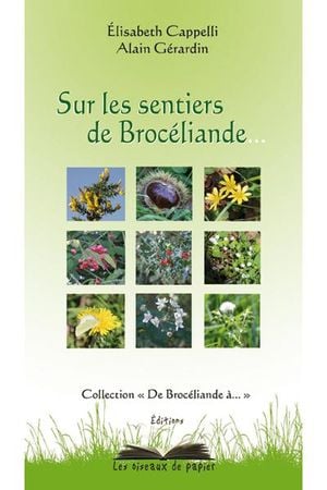 Sur les sentiers de Brocéliande