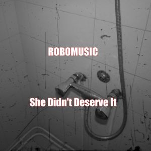 She Didn't Deserve It (Plain Remix) (Single)