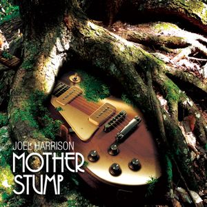 Mother Stump