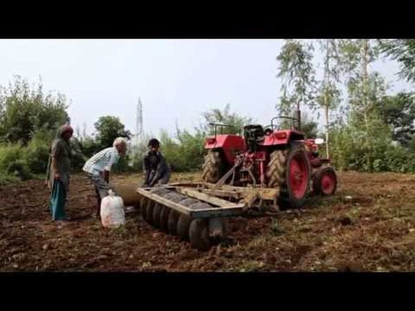 La Guerre des Graines