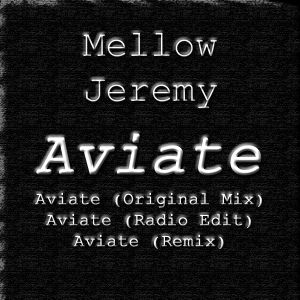 Aviate (Single)