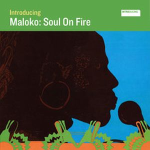 Introducing Maloko: Soul On Fire