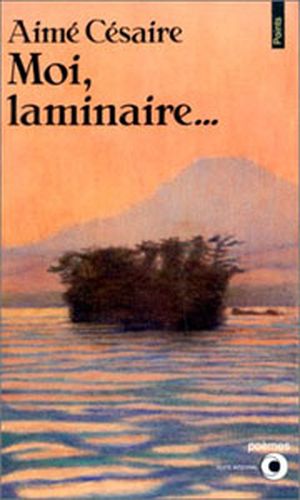 Moi, laminaire