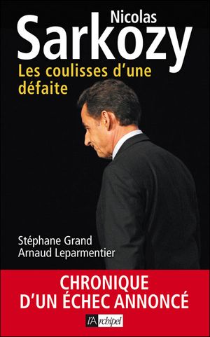 Nicolas Sarkozy : les coulisses d'une défaite