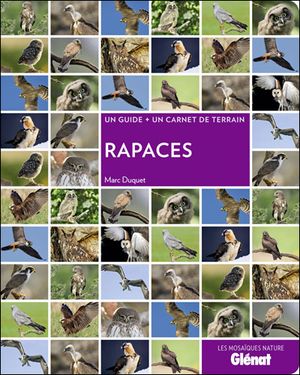 Rapaces