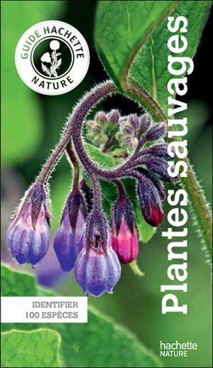 Guide Hachette nature : plantes sauvages