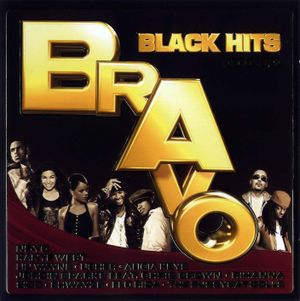 Bravo Black Hits, Vol. 19