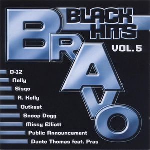 Bravo Black Hits, Vol. 5
