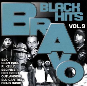 Bravo Black Hits, Vol. 9