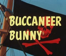 image-https://media.senscritique.com/media/000006950767/0/buccaneer_bunny.jpg