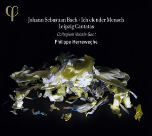 Ich elender Mensch & Leipzig Cantatas (BWV 44, 48, 73, 109)
