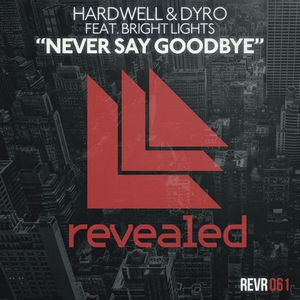 Never Say Goodbye (original mix)