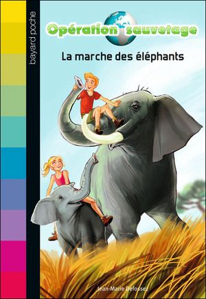Le marché des éléphants
