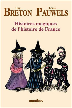 Nouvelles histoires magiques de l'histoire de France