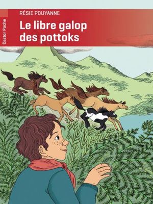 Le libre galop des pottoks