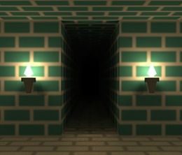 image-https://media.senscritique.com/media/000006995111/0/Escape_From_The_Brick_Maze.jpg
