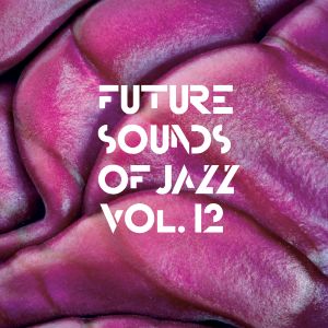 Future Sounds of Jazz, Volume 12