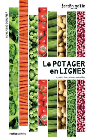 Le nouveau potager en lignes