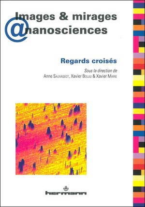 Images & mirages @ nanosciences : regards croisés