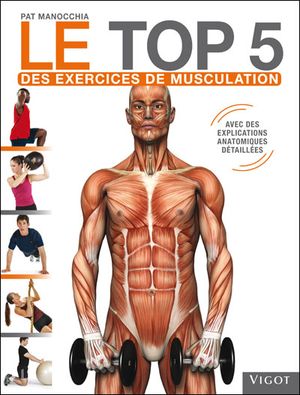 Musculation le top 5 des exercices indispensables