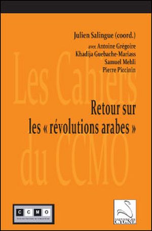 Retour sur les révolutions arabes