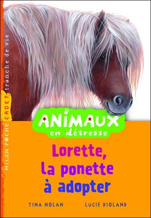 Lorette, la ponette à adopter