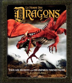 Le monde des dragons