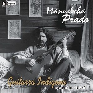 Guitarra Indigena