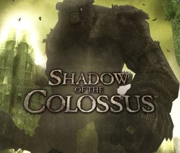 image-https://media.senscritique.com/media/000007023278/0/shadow_of_the_colossus.jpg