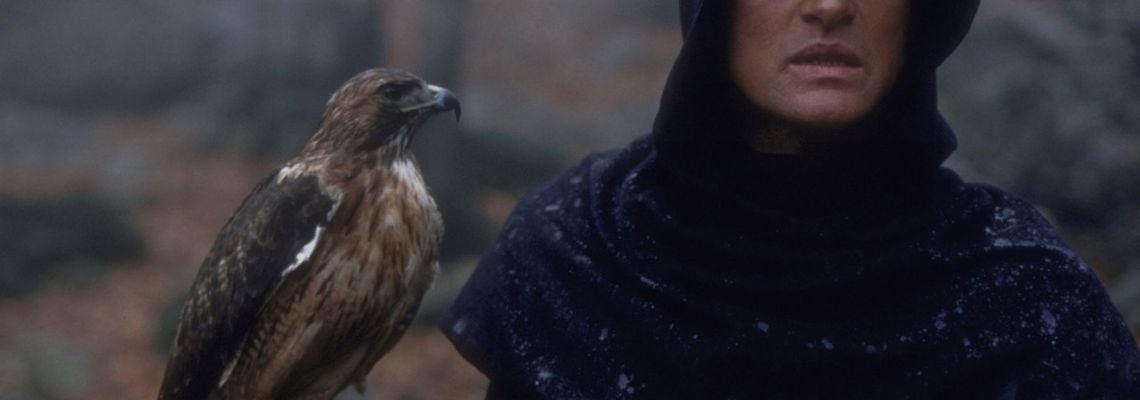 Cover Ladyhawke, la femme de la nuit