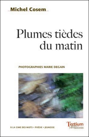 Plumes tièdes du matin