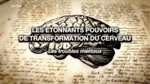 Les étonnants pouvoirs de transformation du cerveau