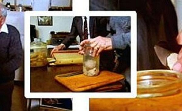 Relics : Einstein's Brain