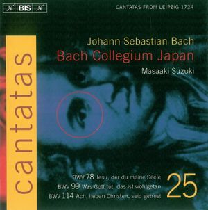 Cantatas, Volume 25