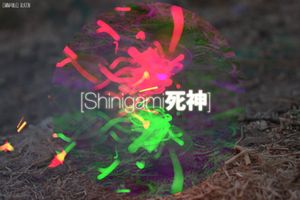 Shinigami死神