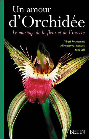 Un amour d'orchidée