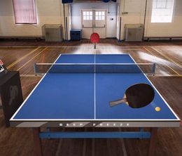 image-https://media.senscritique.com/media/000007085576/0/table_tennis_touch.jpg