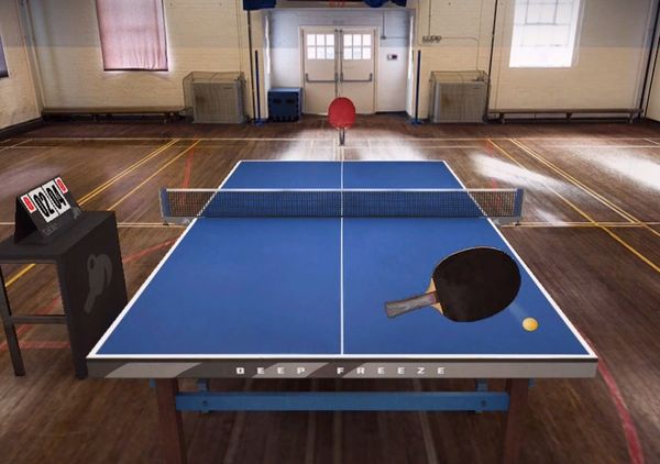 Table Tennis Touch