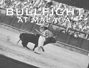 Bullfight at Malaga