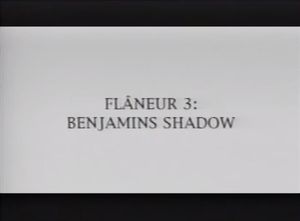 Flaneur 3: Benjamins Skygge