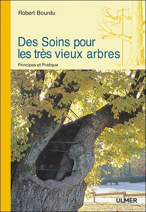 Des soins pour les très vieux arbres