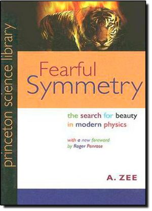 Fearful Symmetry: The search of beauty in Modern Physics