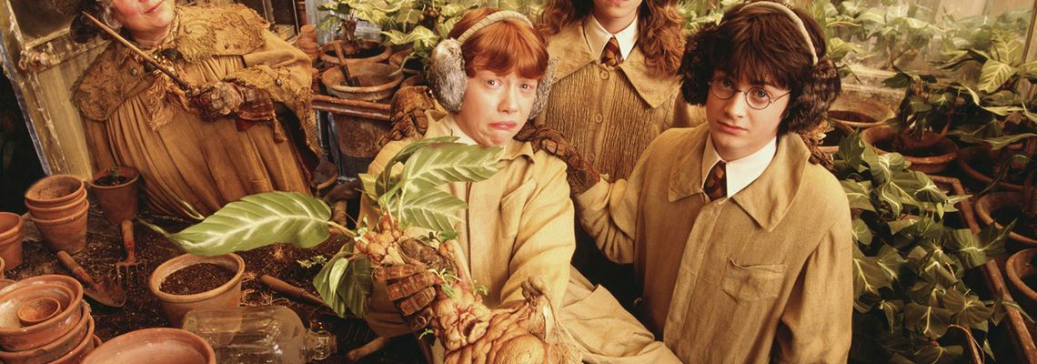 Cover Harry Potter et la chambre des secrets