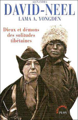 Dieux et démons des solitudes tibétaines