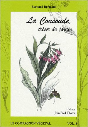 La consoude trésor du jardin