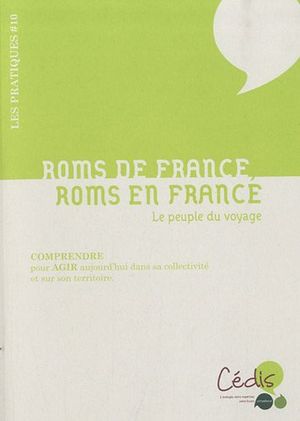 Roms de France, Roms en France