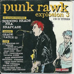 Punk Rawk Explosion, Volume 3